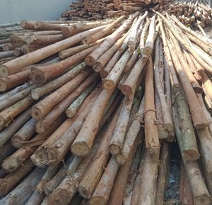 Produits en bois de haute qualité du Vietnam - Product Image 1