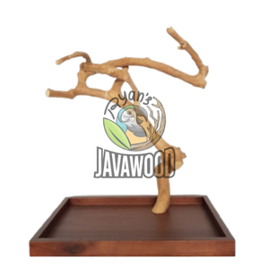 Table perroquet de qualité supérieure et aire de jeux perroquet Javawood support d'arbre en bois massif taille M couleur naturelle d'Indonésie - Product Image 1