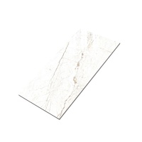 Porcelanato espagnol brillant de haute qualité moderne classique 60x60mm et 60x120mm carreaux de sol en porcelaine polie et marbres