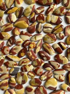 Piedra preciosa suelta de forma mixta de cabujón de jaspe Mookite Natural de alta calidad para la fabricación de joyas - Product Image 2