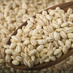 High Quality <b>Barley</b> For Sale In India - Product Image 4
