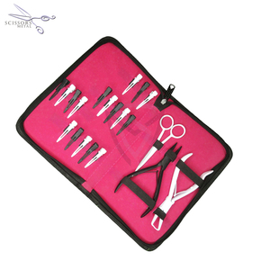 Nouvelle conception 2025, outils professionnels de qualité de marque pour extensions capillaires, kit de pinces à retirer les perles avec étui de luxe - Product Image 1