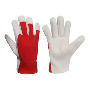 Nouveauté 2025 Gants de travail en cuir de vachette grainé pour hommes et femmes Idéal pour les travaux de jardinage Gants de travail imperméables - Product Image 1