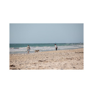 Grandes quantités de bûches de hêtre matériaux de construction en vrac pour tous vos besoins - Product Image 1