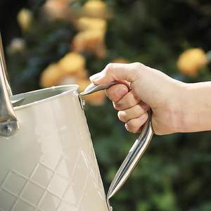 Regadera de metal ergonómica y confiable, diseñada para un uso prolongado, que ofrece una fácil vertido y un manejo equilibrado para jardineros. - Product Image 5