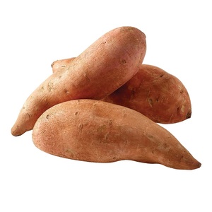 Meilleure Qualité, Prix Promotionnel, Légumes Frais, Patates Douces - Product Image 2