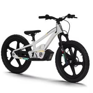 Offre Spéciale : Moto Électrique Équilibrée Puissante EE 1.20 Disponible à la Vente - Product Image 4
