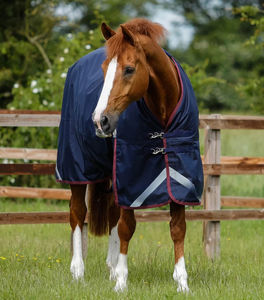 Couverture de cheval équestre durable sur mesure, couverture de cheval imperméable respirante de qualité supérieure, couverture de cheval personnalisée, écurie extérieure - Product Image 4