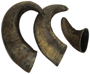 Nouvelle corne de buffle naturelle authentique, grande, non coupée et non traitée, écologique, pour artisanat DIY, style animal sculpté, marque personnalisée - Product Image 3