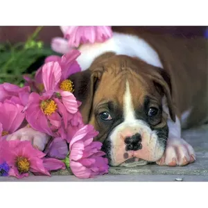 Art Chien Fleurs Céramique Murale #18 Décoration Murale Bain Dosseret Carrelage - Product Image 1