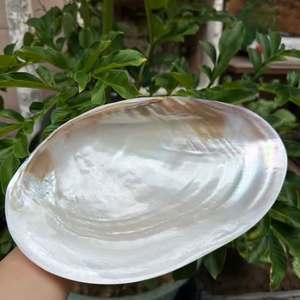 Bandeja Decorativa Ecológica de Concha de Perla Natural en Oferta, Diseño de Flores y Animales, Estilo Náutico, para Joyería, Decoración del Hogar - Product Image 1