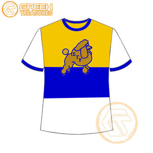 Vente en gros de t-shirt Sigma Gamma Rho pour femmes vêtements de sororité jersey de coton t-shirt respirant de haute qualité vêtements grecs pour femmes - Product Image 2