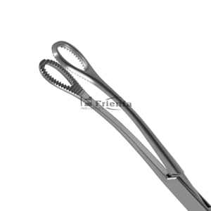 Vente en gros meilleur fournisseur nouvelle conception éponge pince nouveauté arrivée conception éponge pince en vrac quantité - Product Image 3