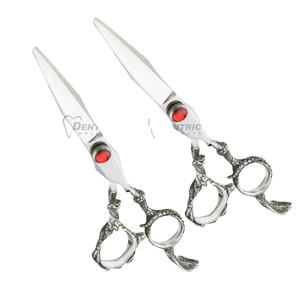 Ciseaux de coiffure professionnels ergonomiques pour droitiers, en acier inoxydable droit, haute précision, style élégant, tranchants - Product Image 1