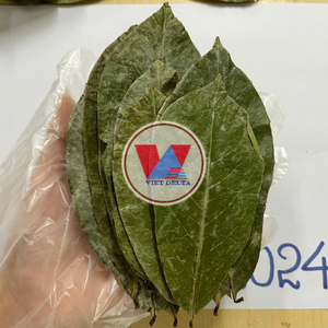 Daun Sirsak Kering Organik Grosir Dari Vietnam - Kualitas Tinggi
