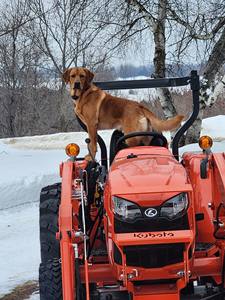 Mini tracteurs 4x4 25 CV Kubota B23 Series B25D à 4 roues motrices, économiques, avec roulement, moteur, pompe et boîte de vitesses inclus - Product Image 6