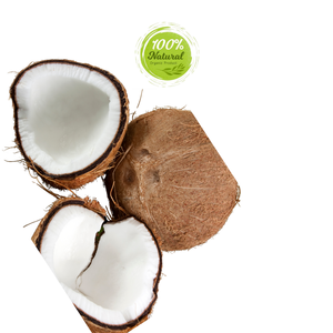 Noix de coco séchée innovante reliant tradition et productivité agricole - Product Image 5