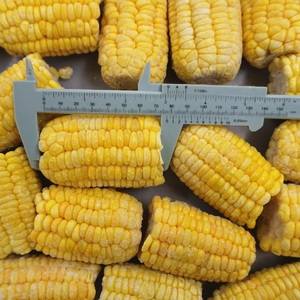 Maïs sucré surgelé biologique IQF de fournisseur vietnamien eau conservée et emballée sous vide en vrac fruits frais de type datte - Product Image 6