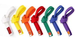 OEM 2023 Nouveau Haute Qualité 100% Coton Arts Martiaux Ceintures Bleu Rouge Karaté Taekwondo Judo Ceinture avec Logo Imprimé Vente en Gros - Product Image 3