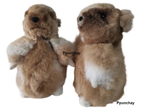 Peluche bébé alpaga marmotte Ppunchay du Pérou, douce, jolie et mignonne - Product Image 2