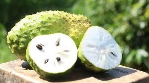 FRUTAS DE URENTA FRESCA de primera calidad para EXPORTAR - Product Image 3