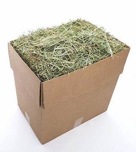 Alimento para animales de avena de heno de alfalfa seca de alta calidad en pacas para peces, perros, ganado, caballos, cerdos, maíz/maíz, alimentación para animales de calidad al por mayor - Product Image 4