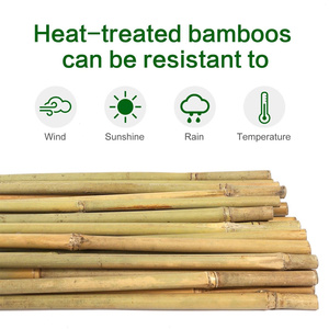 Piquet en bambou pour support de plante en vrac disponible de différentes tailles de canne en bambou/bâtons de bambou du Vietnam vente en gros - Product Image 4