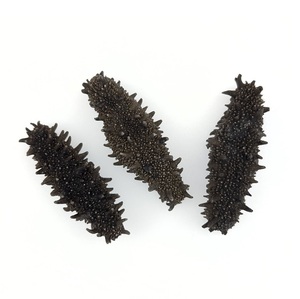 Concombre de mer séché (fruits de mer) de qualité supérieure, prix promotionnel, provenant des États-Unis - Product Image 1
