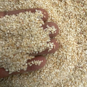Graines de sésame en sac de 20 kg – Qualité exceptionnelle, excellente qualité, Burkina Faso, blanc – Contactez-nous depuis le Burkina Faso - Product Image 2