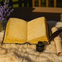 Journal en cuir Mystical Eye, 400 pages imprimées, couverture rigide, livre des ombres, grimoire de sorcellerie, livre de sorts, Halloween, journal occulte, cadeau