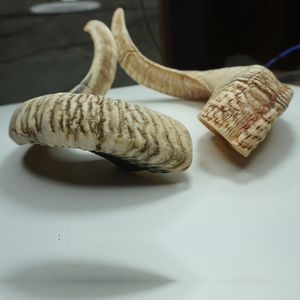 ทำด้วยมือธรรมชาติแกะและแกะฮอร์นตกแต่งชิ้นงานสไตล์สัตว์ขัดเงา - Product Image 6