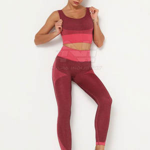 Conjunto Deportivo de Yoga para Mujer, con Logotipo Frontal, Diseño Sólido sin Mangas, 2 Piezas, Transpirable, de Secado Rápido, Sin Costuras, Spandex/Poliéster de Alta Calidad - Product Image 2