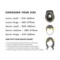 Casque de cricket en fibre de verre de qualité supérieure avec logo personnalisé Laiem, modèle LI-585102, OEM pour les joueurs de cricket de club
