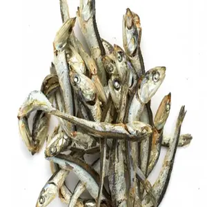 Poisson d'anchois séché en vrac, anchois salé séché/poisson sec poisson d'anchois meilleures ventes grade a haute valeur nutritive 100%
