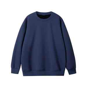 Sweat-shirts à capuche de qualité supérieure 100% coton Impression puff 450gsm Sweat-shirts à capuche Logo Sweat-shirts décontractés Pull-over pour hommes - Product Image 5