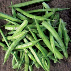 Factory Price High Quality Organic Fresh Legumes Mixed Beans and Pulses Farm Sourced Cleaned Graded for B2B Buyers - Product Image 1