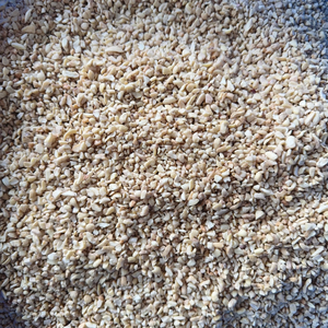 Noix de Cajou SANTIGO à Prix Abordable, Noyaux de Noix de Cajou, Délai de Livraison Court, Vente en Gros de Noix de Cajou - Product Image 1