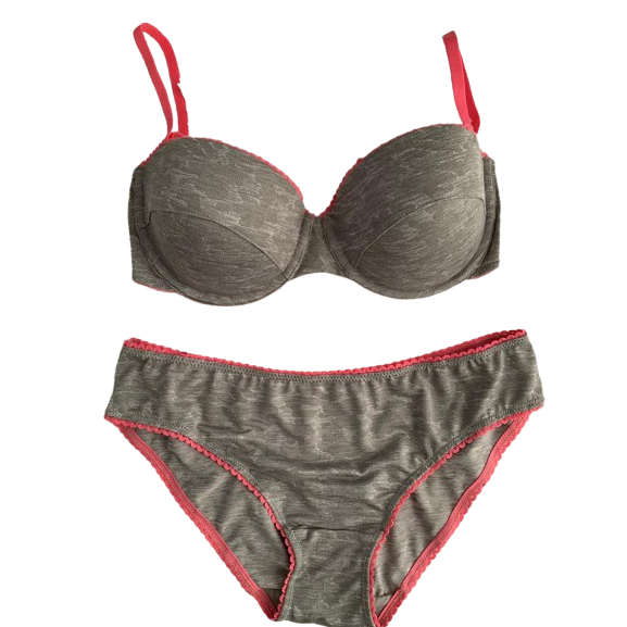 กริฟฟินที่เป็นของแข็ง