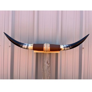 ของตกแต่งผนังทำจากเขาควายแบบวินเทจ คู่เขาควายอินเดีย - Product Image 6