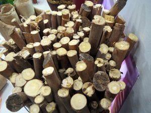 Earthnest แท่งฟันสมุนไพรออร์แกนิคทำจากเหงือกเพื่อสุขภาพฟันขาวทำให้ฟันสะอาดสดชื่นเป็นมิตรกับสิ่งแวดล้อม - Product Image 2