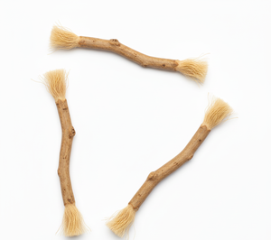 GreenRipple Natural Herbal Tooth Stick Organic Whitening Gum Health Eco Friendly Dental Hygiene Fresh Oral Cleaning <b>Miswak</b> - Product Image 6