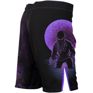 Shorts de MMA en polyester, impression par sublimation, légers, respirants, taille élastique, entraînement axé sur le mouvement - Product Image 2