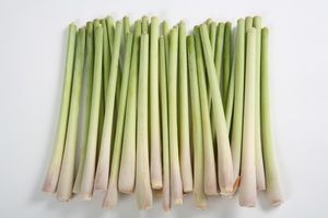 Feuilles de citronnelle séchées de qualité supérieure |   Parfum naturel |   Exportation en gros depuis le Vietnam - Product Image 2