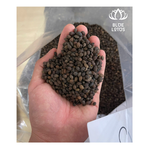 Graines de papaye séchées de haute qualité-Votre source d'importation de BLUE LOTUS VIETNAM - Product Image 1