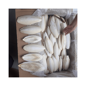 Top Vente Vietnamien Séché Naturel Blanc Os De Seiche Oiseau Nourriture Calmar Os Seiche Os De Poisson Supplément Nutritionnel pour L'alimentation - Product Image 2