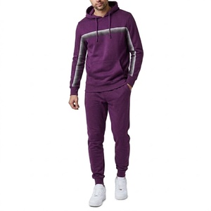 Conjunto Deportivo Informal para Hombre, Sudadera con Capucha Acolchada de Terciopelo Ligero, Pantalones Cortos, Color Sólido, Poliéster/Algodón - Product Image 2