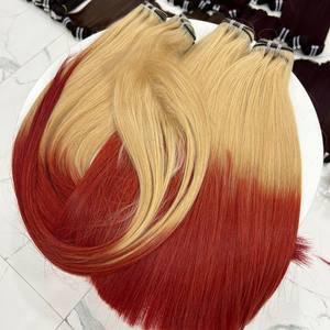SDD pour OMBRE Extensions de cheveux Remy lisses en deux parties blondes Cheveux humains vietnamiens naturels Prix de gros pour la fabrication de perruques - Product Image 1