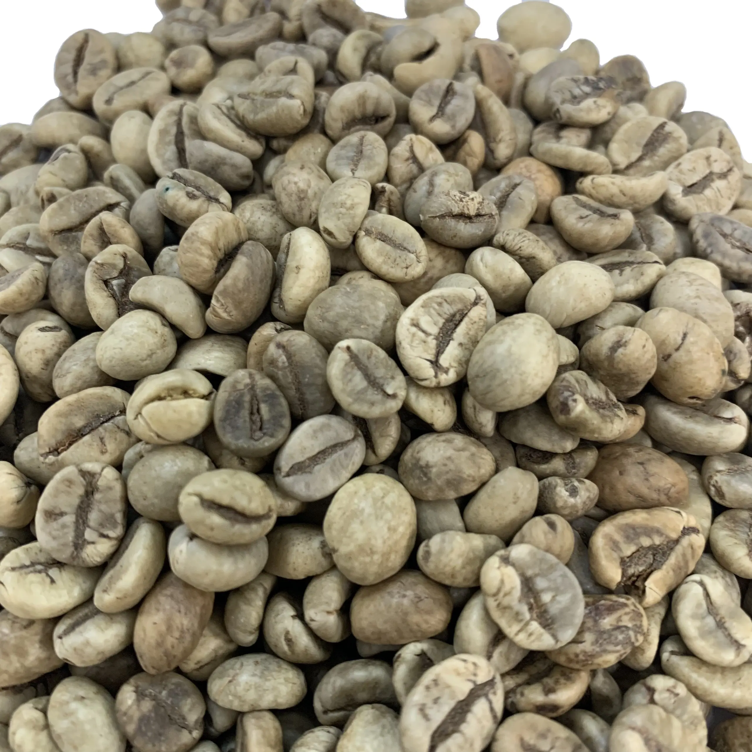 Vietnam Groene Koffiebonen-Hoogwaardige Producten Voor Export-Groene Koffiebonen Fob Referentieprijs Whatsapp + 84 326055616