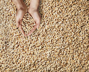 Sacs de granulés de bois de pin de 15kg, (Din plus / EN plus granulés de bois A1) approuvé BSL - Product Image 2