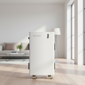 Batería de Litio de Alta Capacidad 48V 400Ah 20kWh, Gabinete de Baterías de Litio para Uso Comercial, Solar e Industrial - Product Image 1